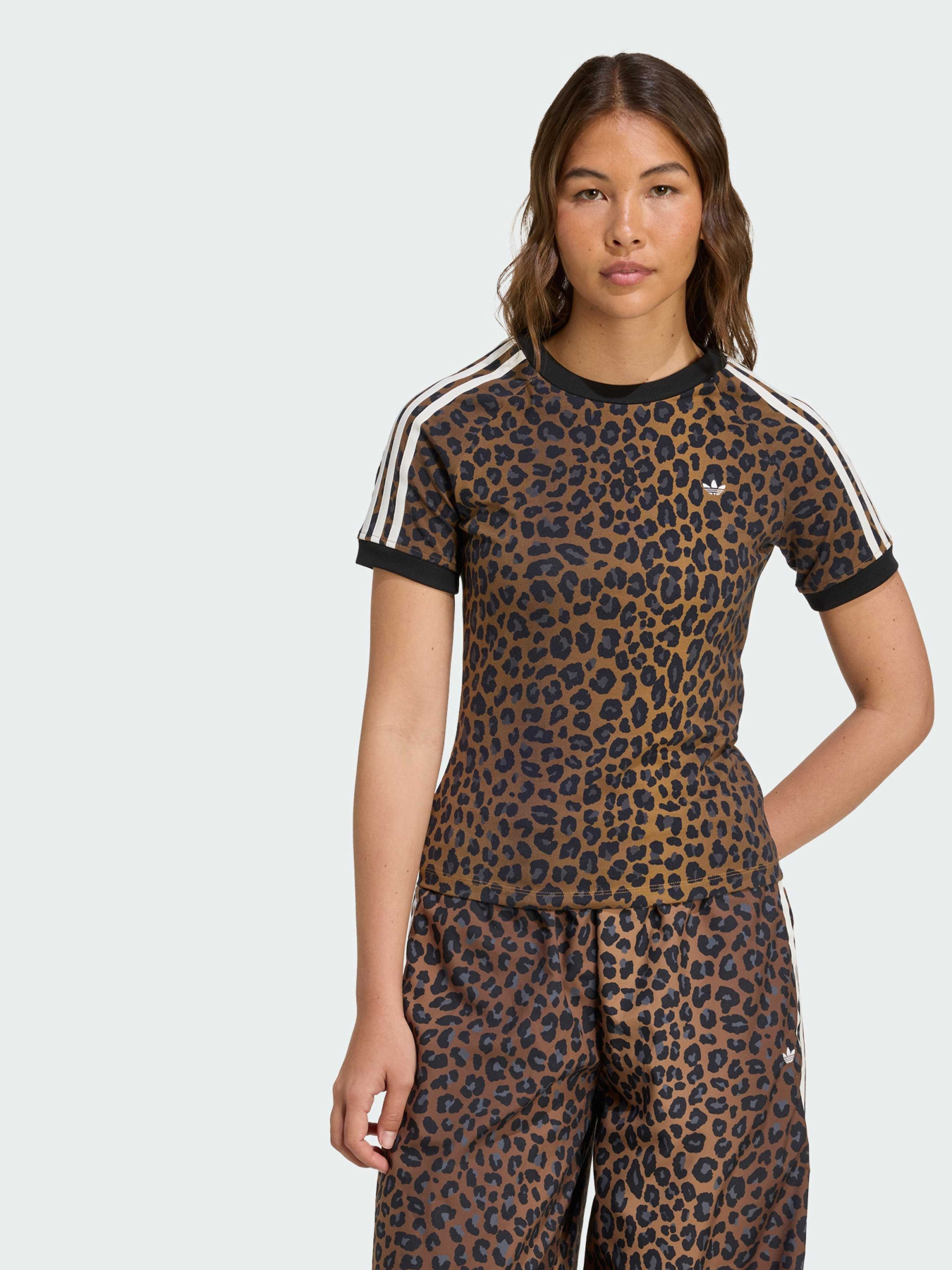 Футболка Adidas Superstar модель JW7304 Фото