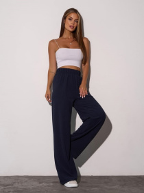 Спортивні штани ISSA Plus модель 14304_синий Фото