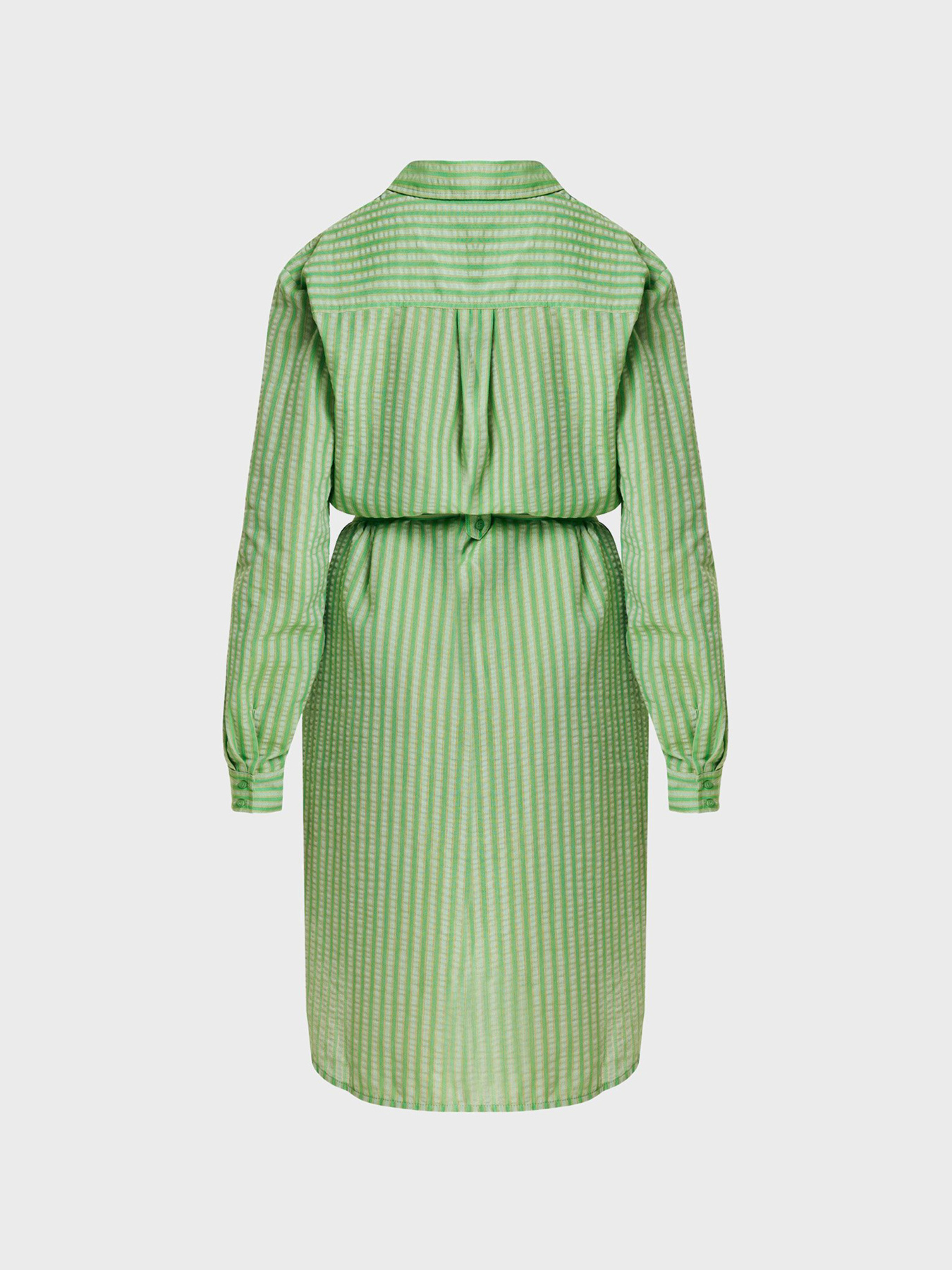 Платье мини MEXX модель MF006303541W Платье мини MEXX модель MF006303541W Фото