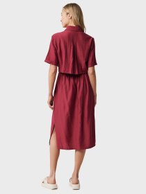 Сукня міді MEXX модель MF006307041W Фото