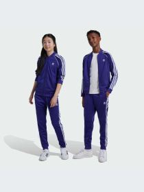 Брюки Adidas Adicolor модель IY7464-KZ Фото
