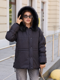 Зимняя куртка MilaNova модель Куртка К-351 черный Фото