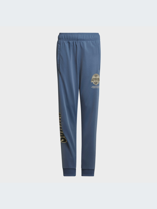 Брюки Adidas модель HK2831-KZ Фото