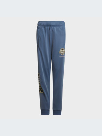 Брюки Adidas модель HK2831-KZ Фото