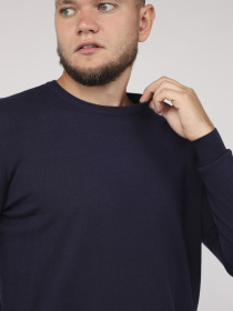 Джемпер YUKI модель ЦБ-00275935 Фото