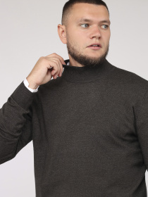 Водолазка YUKI модель ЦБ-00275936 Фото