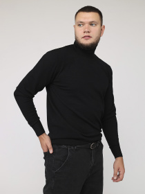 Водолазка YUKI модель ЦБ-00275941 Фото