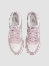 Кроссовки NIKE Dunk Low Gs модель FB9109-122 Фото