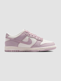 Кроссовки NIKE Dunk Low Gs модель FB9109-122 Фото