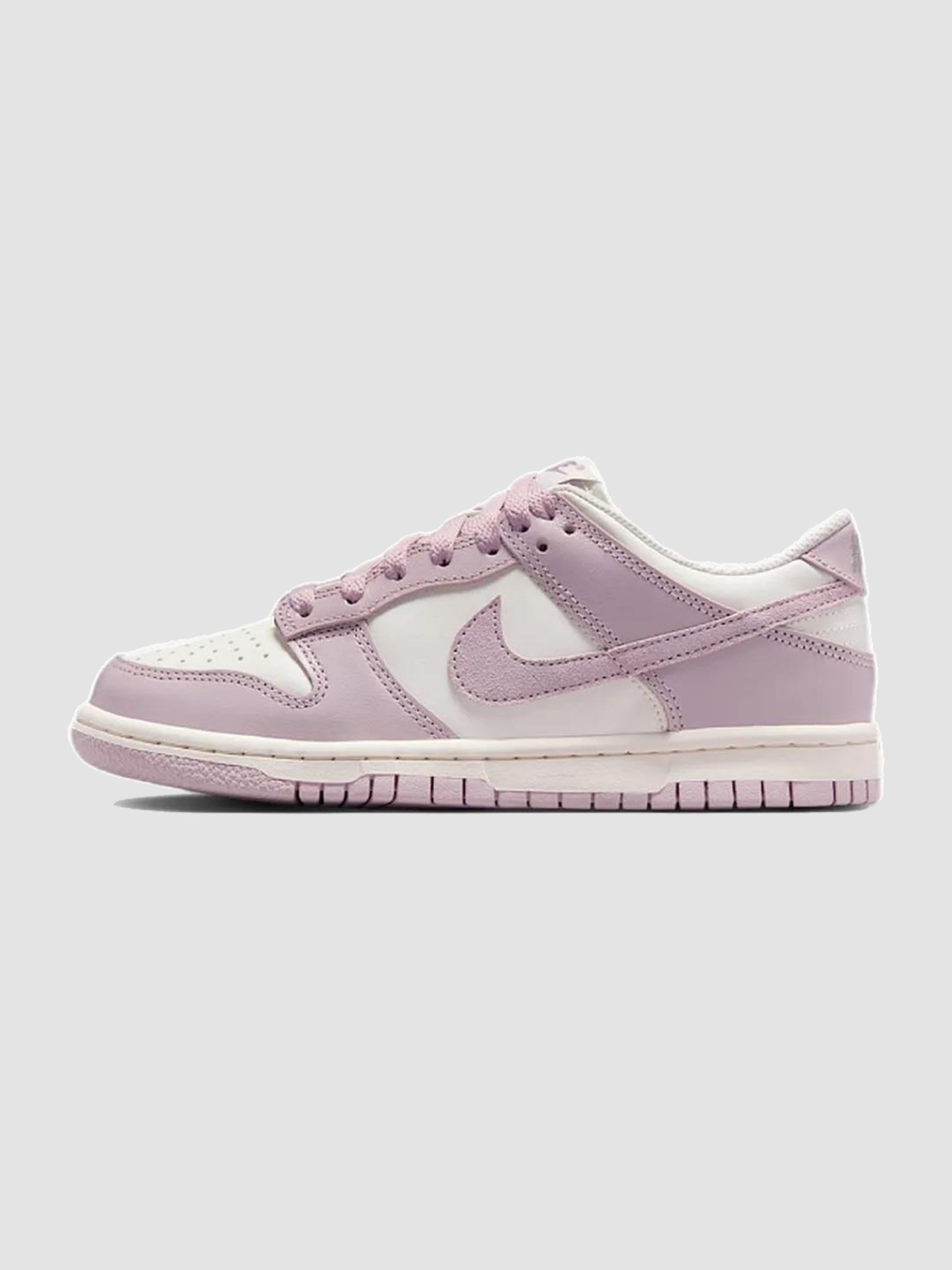 Кросівки повсякденні NIKE Dunk Low Gs модель FB9109-122 Фото