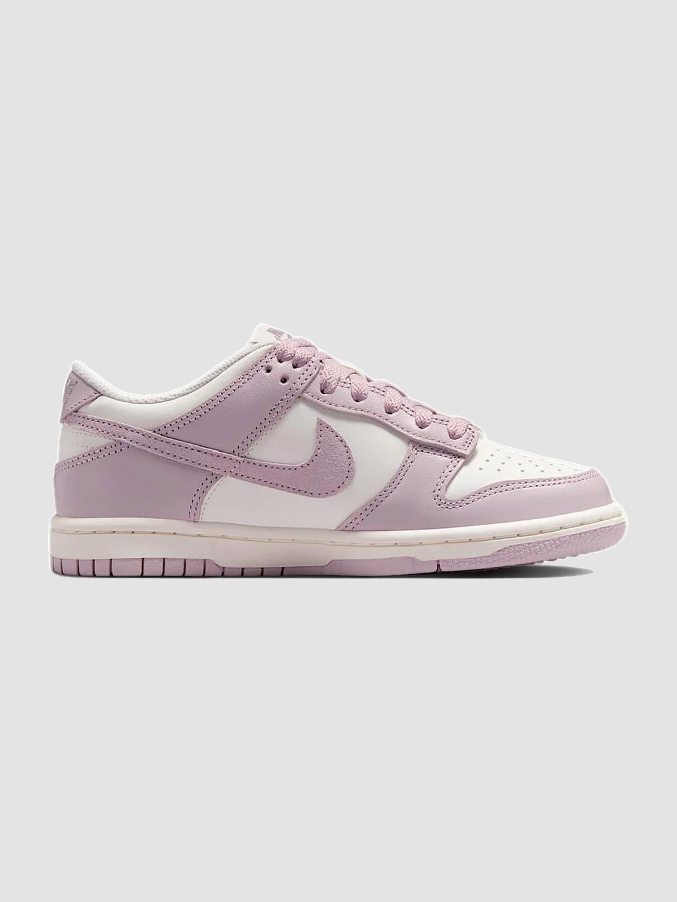 Кросівки повсякденні NIKE Dunk Low Gs модель FB9109-122 Фото