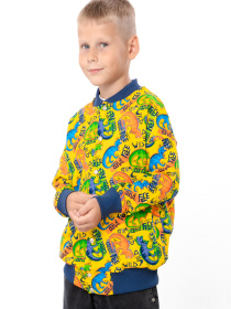 Кофта Носи своє модель 6404-055-4-dno-burshtin Фото