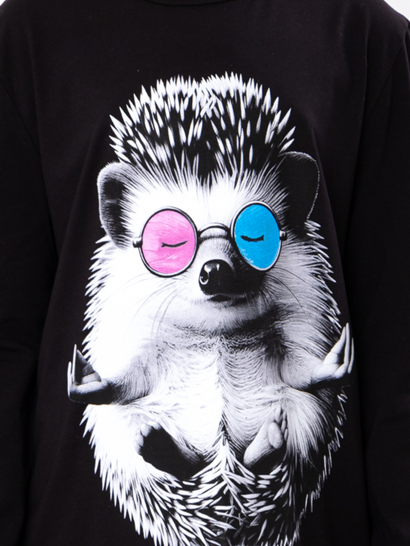 Лонгслив Носи своє модель 6363-036-33-2-4-chornij-zhachok Фото