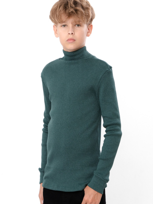 Водолазка Носи своє модель 6068-021-hvojno-zelenij Фото