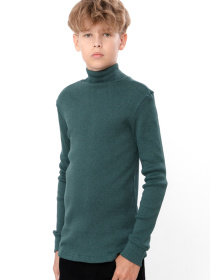 Водолазка Носи своє модель 6068-021-hvojno-zelenij Фото