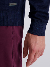 Кофта Pierre Cardin модель C5 50709.5037.6325 Фото