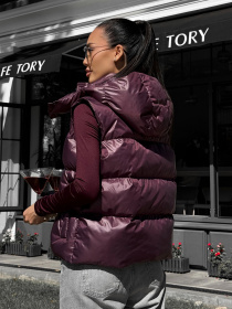 Утепленный жилет Jadone Fashion модель Zhylet_Kul_marsal Фото