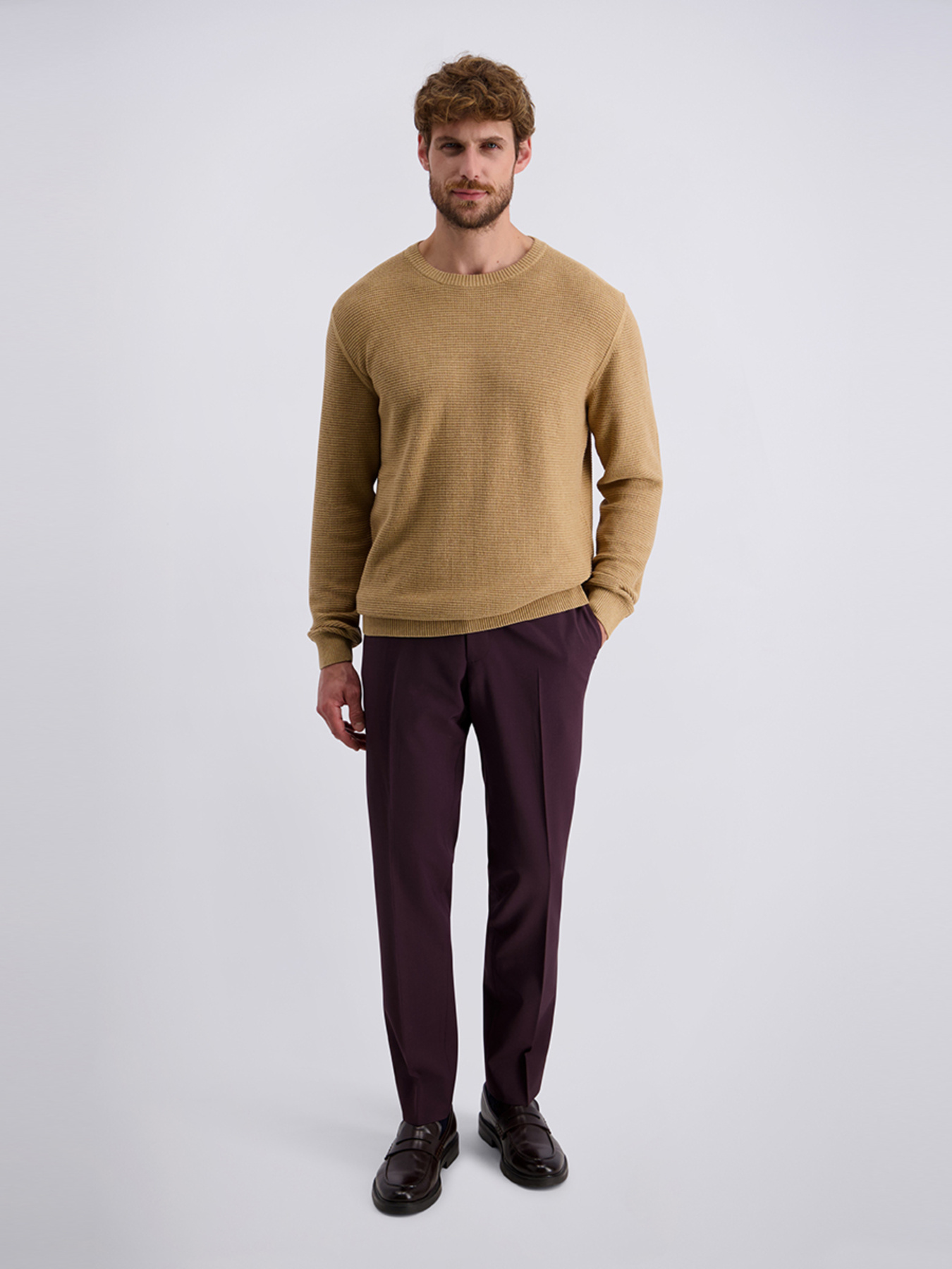 Джемпер Pierre Cardin модель C5 51400.5105.8018 Фото