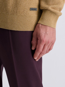 Джемпер Pierre Cardin модель C5 51400.5105.8018 Фото