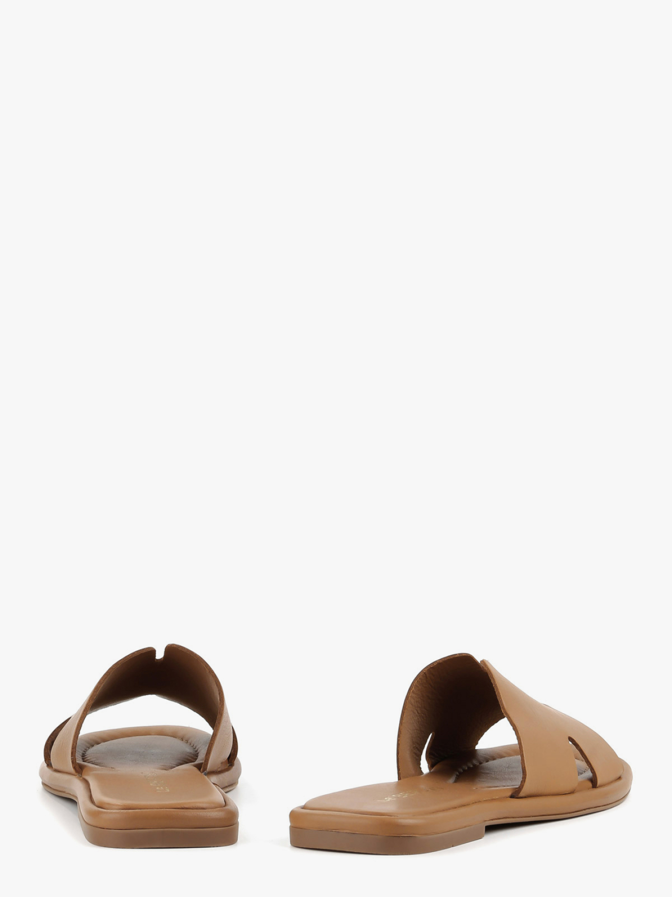 Шльопанці LeBERDES модель 00000018385 Фото