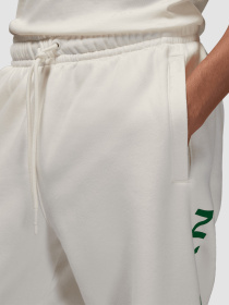 Джогери Jordan M J Ess Jd Air модель HQ4645-133 Фото