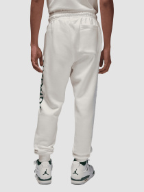 Джогери Jordan M J Ess Jd Air модель HQ4645-133 Фото