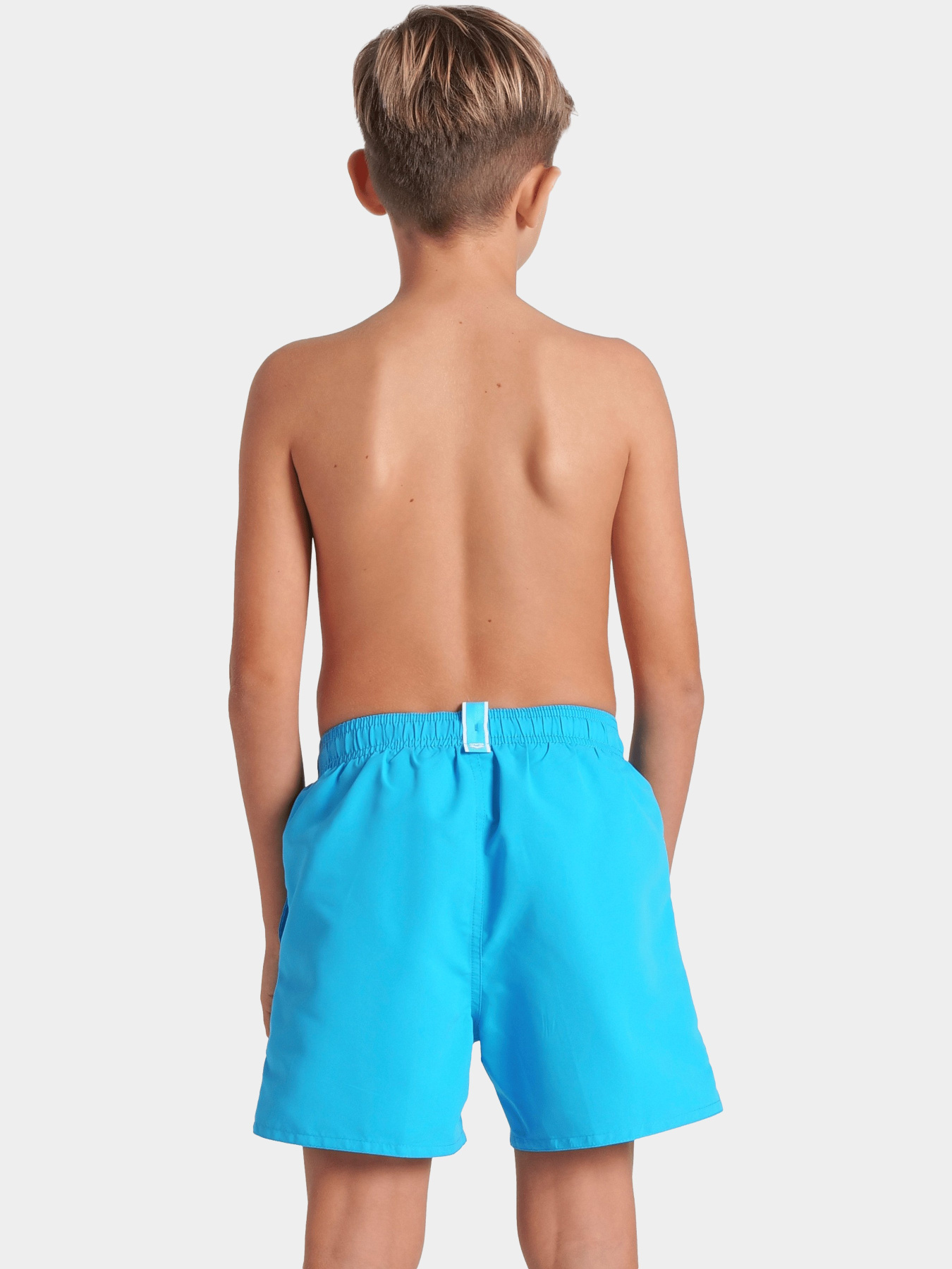 Шорты для плавания Arena модель 006447-830 Фото