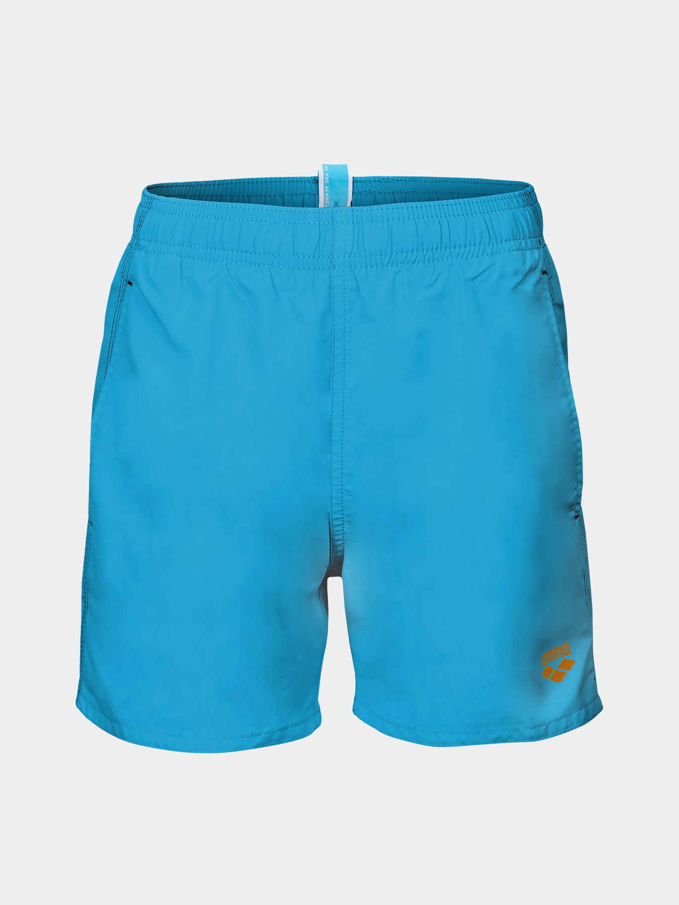 Шорты для плавания Arena модель 006447-830 Фото