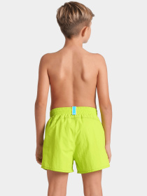 Шорти для плавання Arena модель 006445-663 Фото