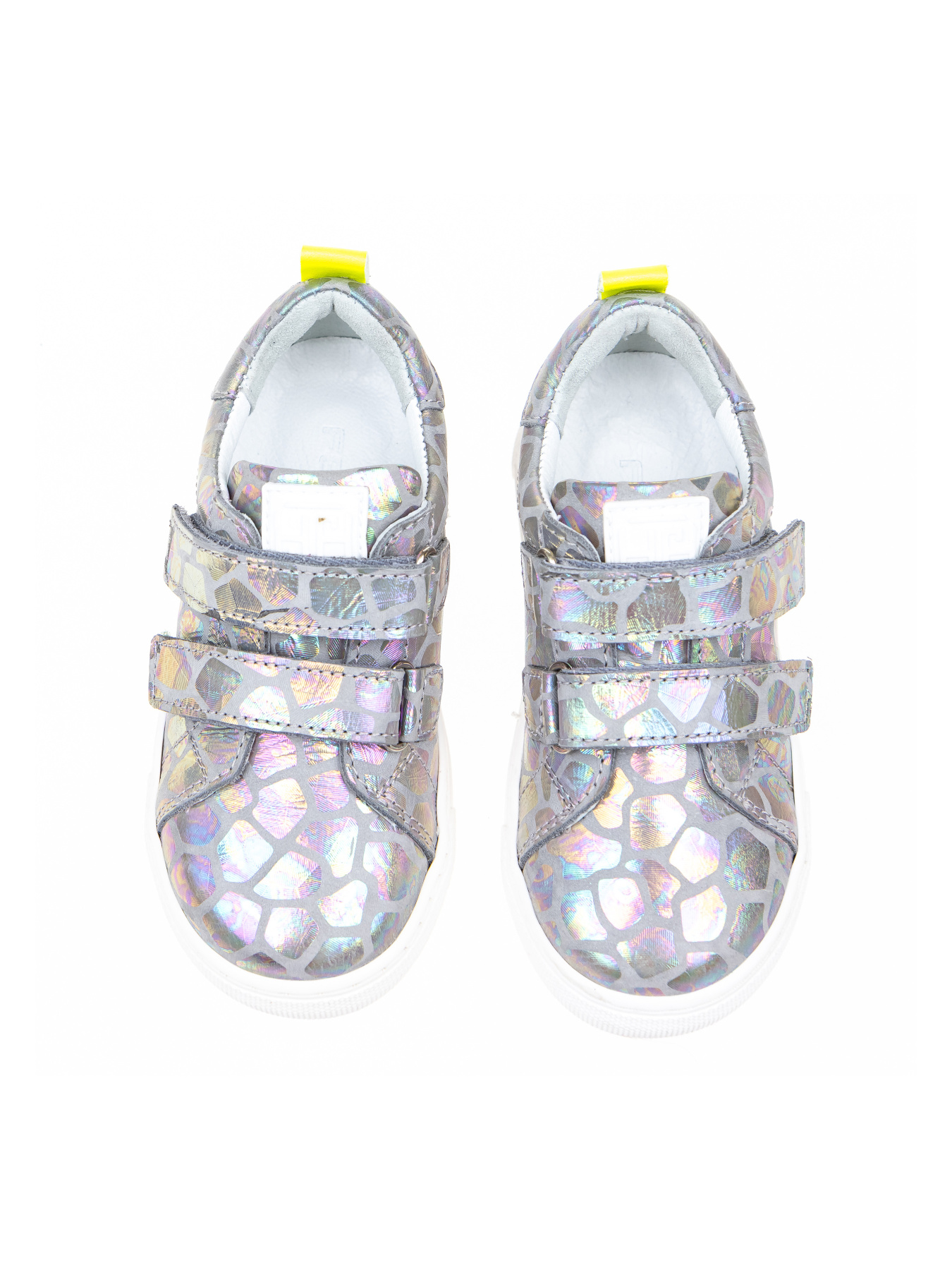 Кеды низкие Calorie  модель 0497 сірий хамелеон (31-36) Фото