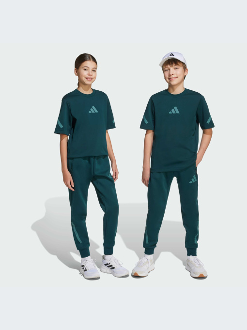 Брюки Adidas ZNE модель JW2430-KZ Фото