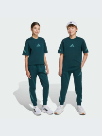 Брюки Adidas ZNE модель JW2430-KZ Фото