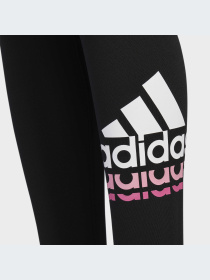 Брюки Adidas модель HZ7089-KZ Фото