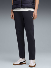 Штаны спортивные PUMA Evostripe Pants Dk модель 688234 Фото