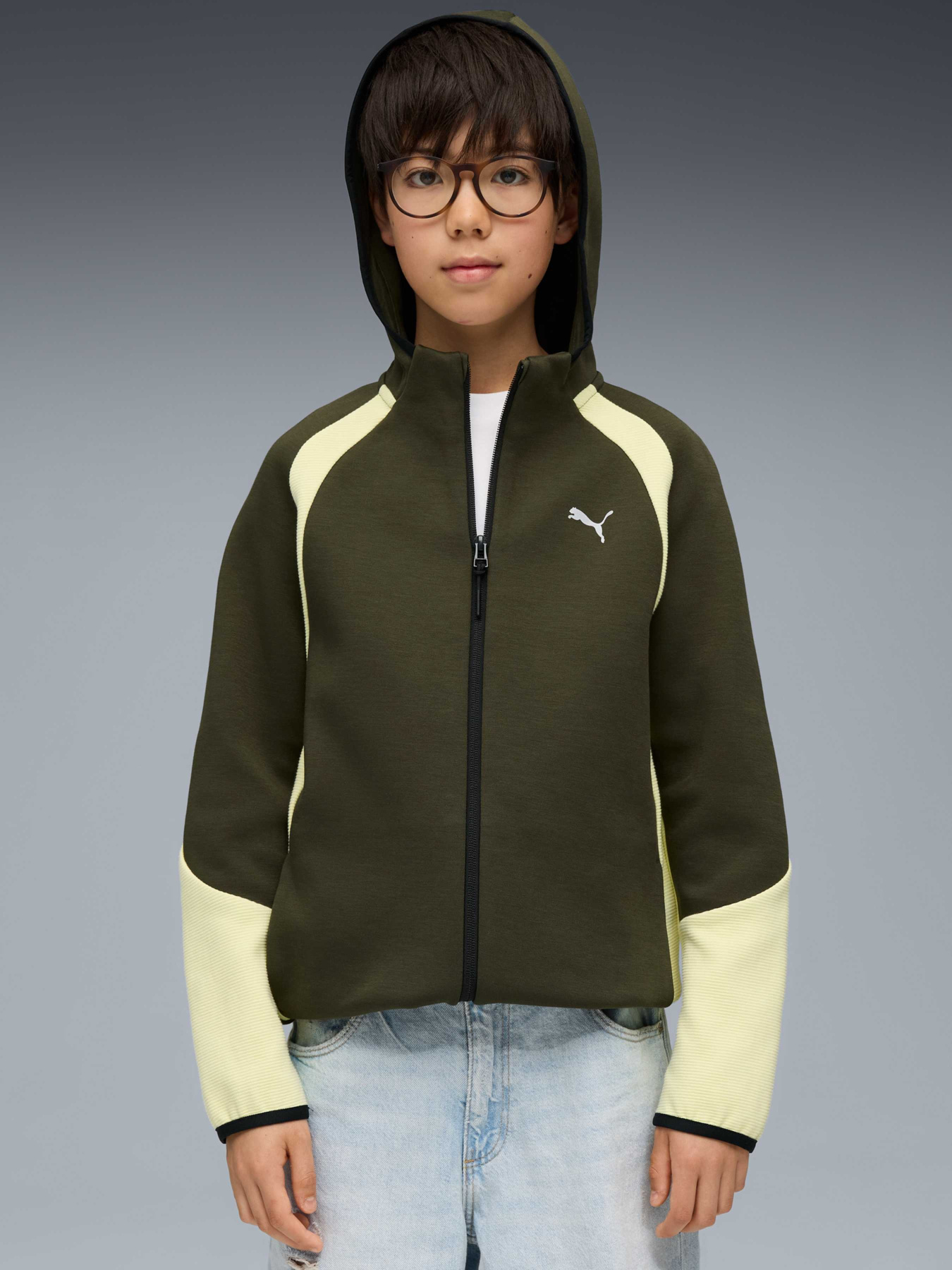 Кофта PUMA Evostripe Full-zip Hoodie Модель 688863 Фото