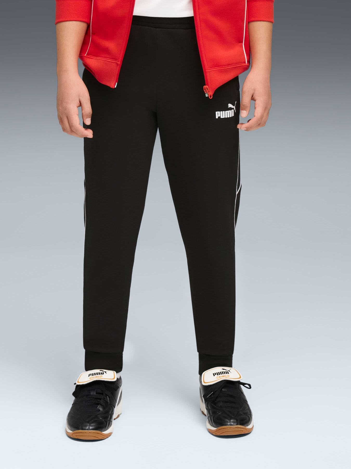 Штаны спортивные PUMA Sport Sweatpants Fl модель 689175 Фото