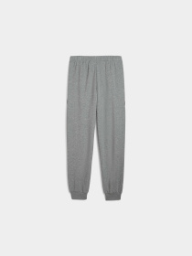 Штаны спортивные PUMA Bmw Mms Sweat Pants Reg/cc модель 630617 Фото