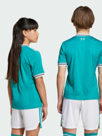 Футболка Adidas модель JV6468 Фото