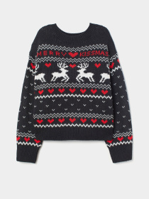 Кофти та светри H&M модель 7113448wt_черный с узором Фото