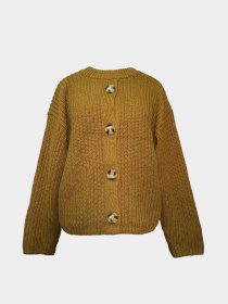 Кофты и свитера H&M модель 3002251wer_Горчичный Фото