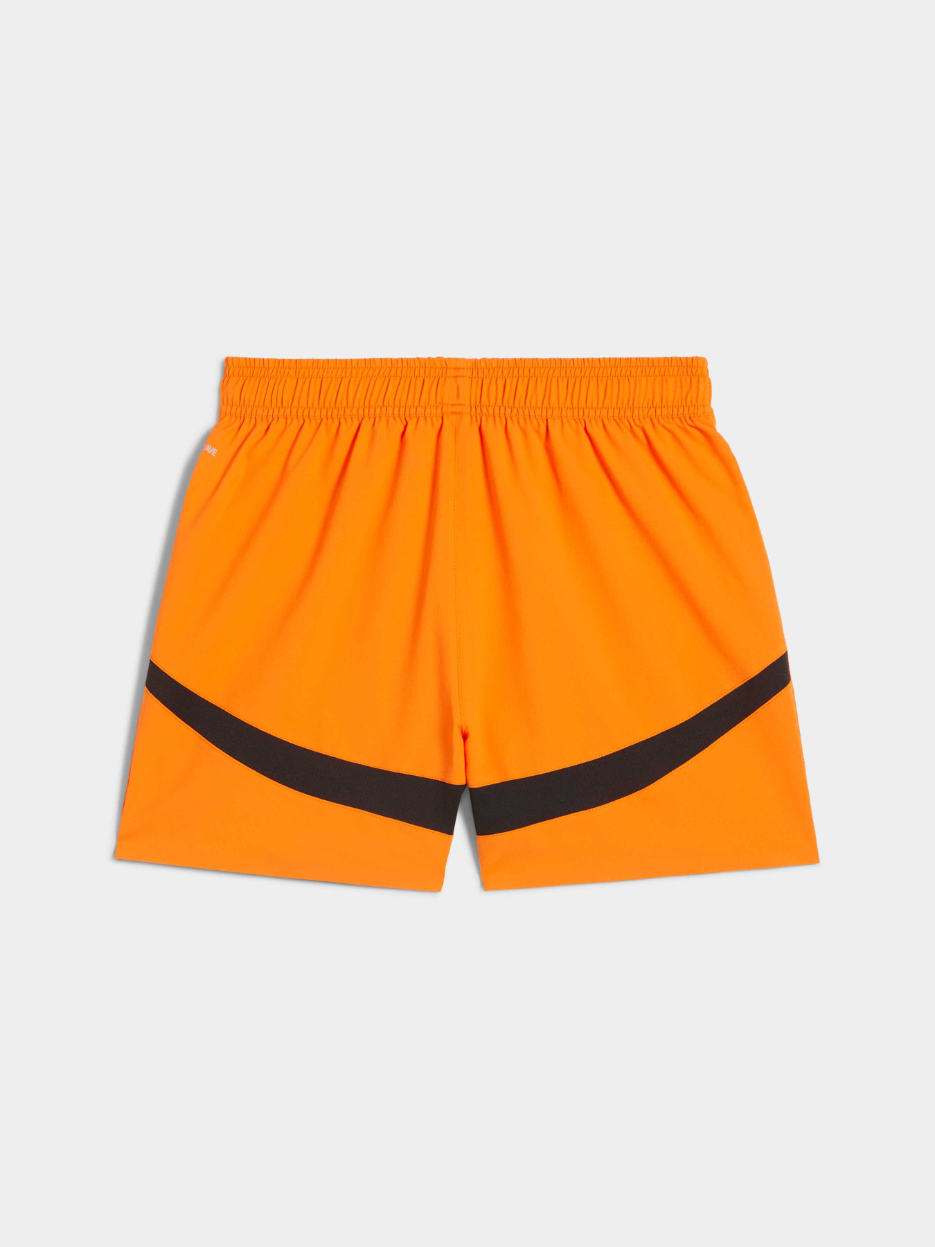 Шорты спортивные PUMA Fcsd Shorts Promo W модель 775432 Фото