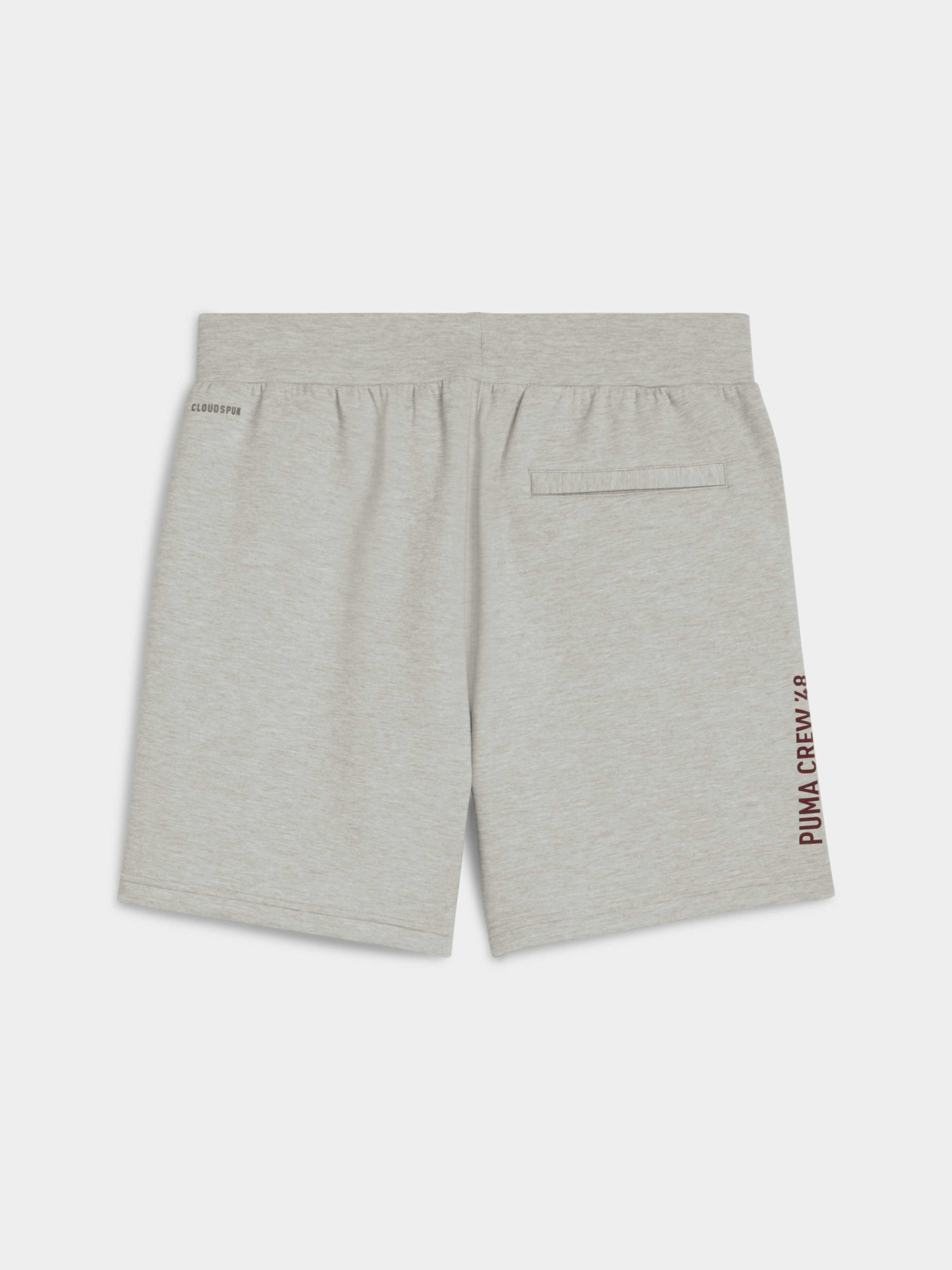 Шорты спортивные PUMA M Cloudspun 5" Branded Short модель 527598 Шорты спортивные PUMA M Cloudspun 5" Branded Short модель 527598 Фото