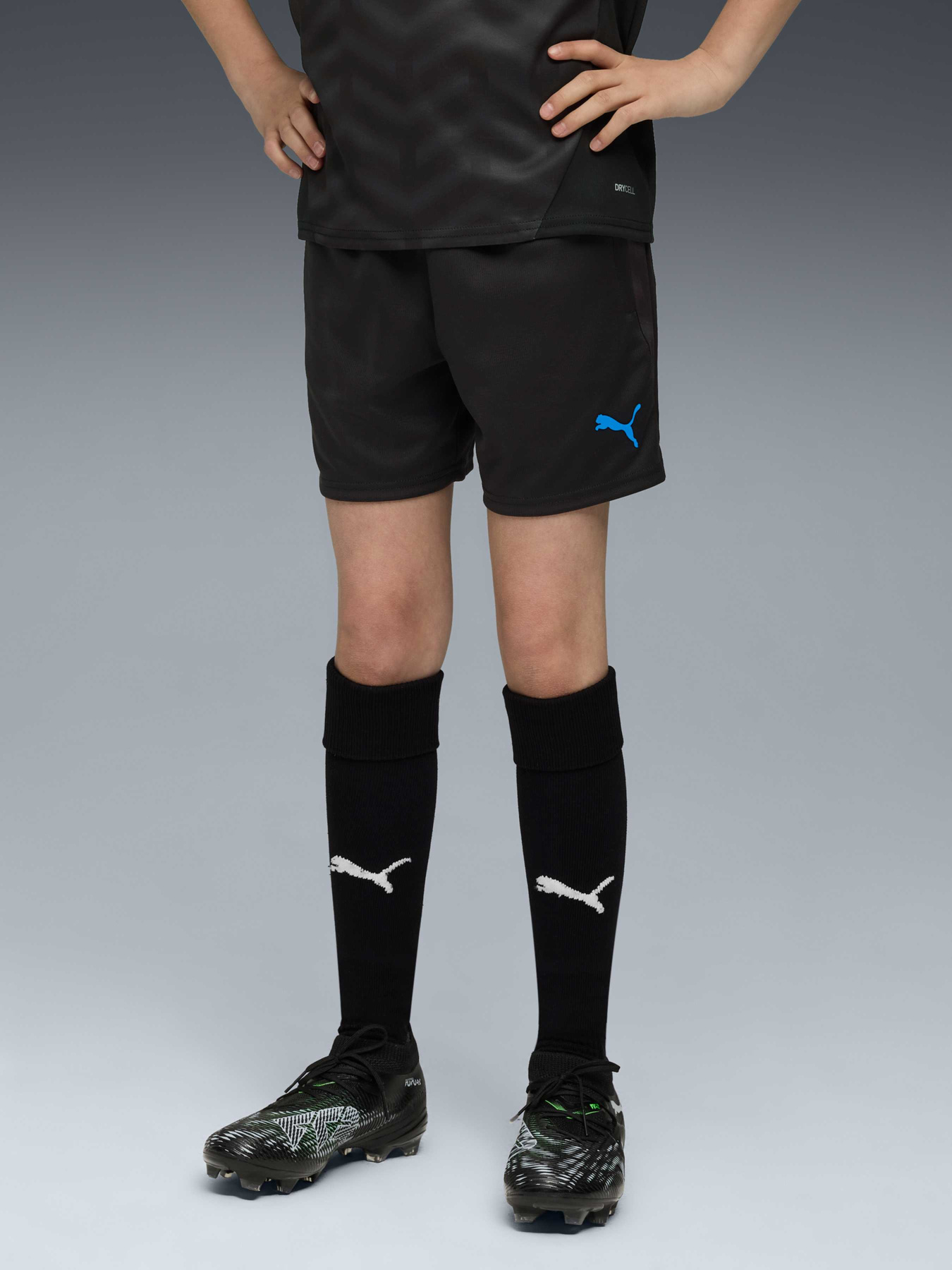 Шорты спортивные PUMA Individualcup Trg Shorts Jr модель 660249 Фото