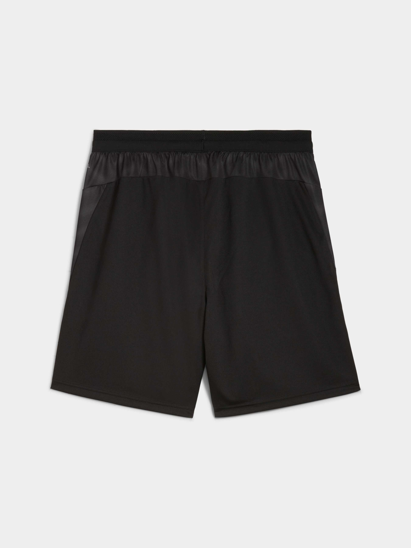 Шорты спортивные PUMA Individualcup Trg Shorts модель 660248 Шорты спортивные PUMA Individualcup Trg Shorts модель 660248 Фото