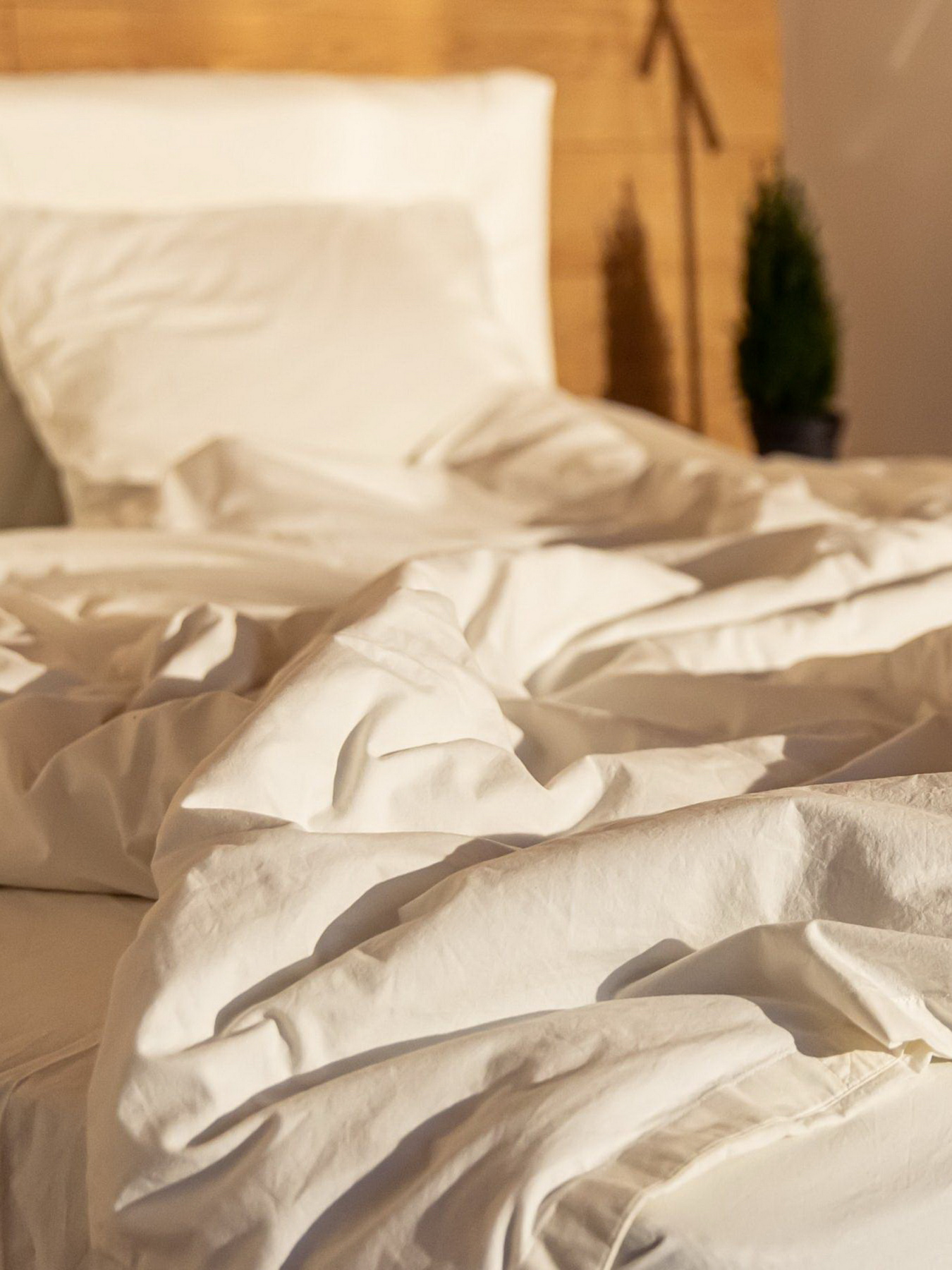 Комплект постельного белья Vital Textile модель BL-2 Комплект постельного белья Vital Textile модель BL-2 Фото