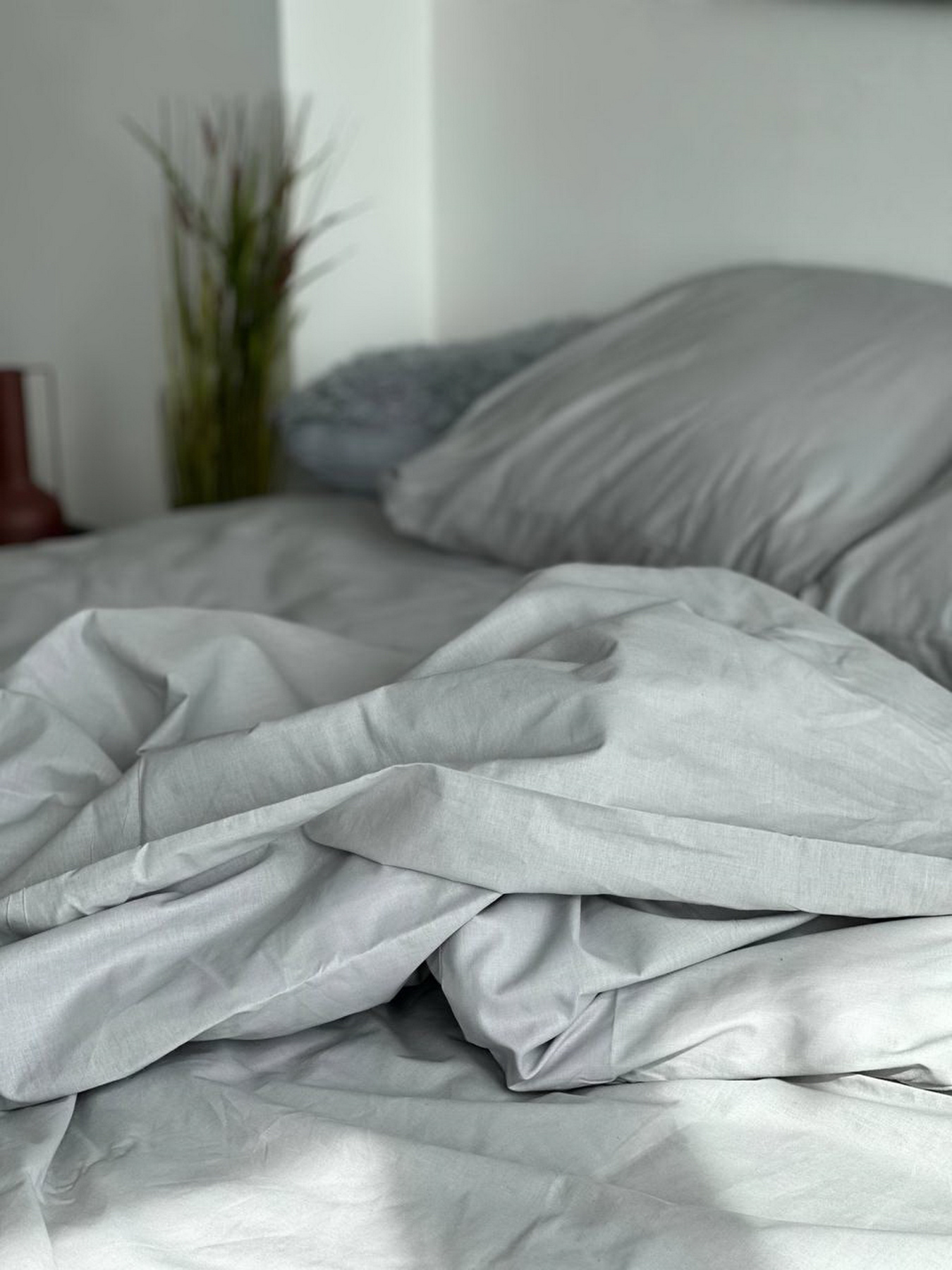 Комплект постельного белья Vital Textile модель BL-3 Комплект постельного белья Vital Textile модель BL-3 Фото