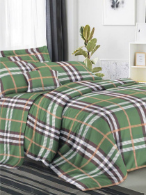 Комплект постельного белья Vital Textile модель BP-284 Комплект постельного белья Vital Textile модель BP-284 Фото