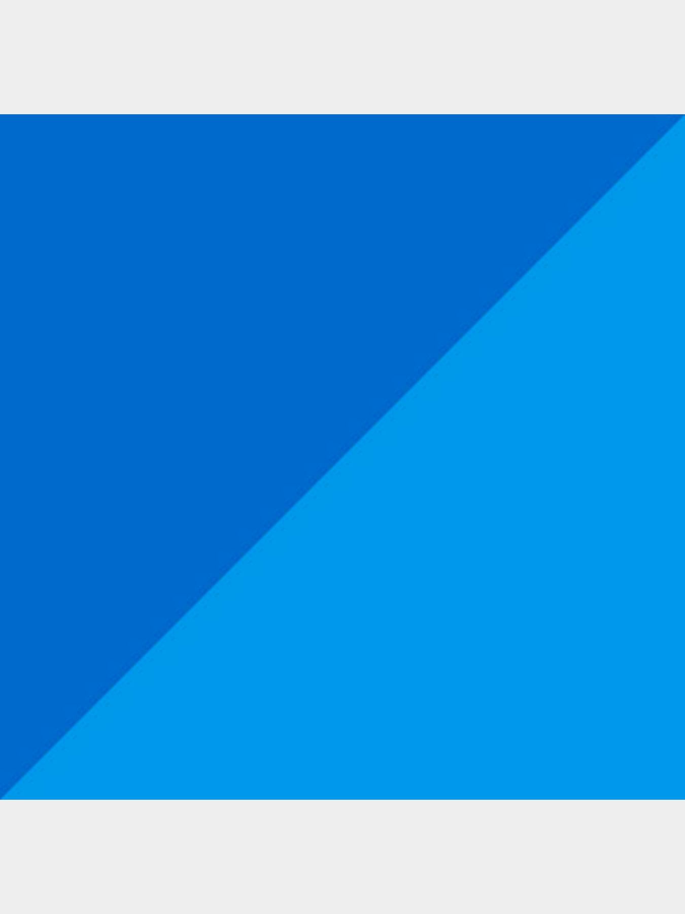 Щитки PUMA Ultra Light Strap модель 030992 Фото