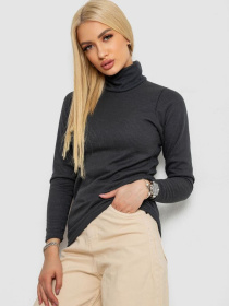 Водолазка Ager модель У-1136063::000000087 Фото