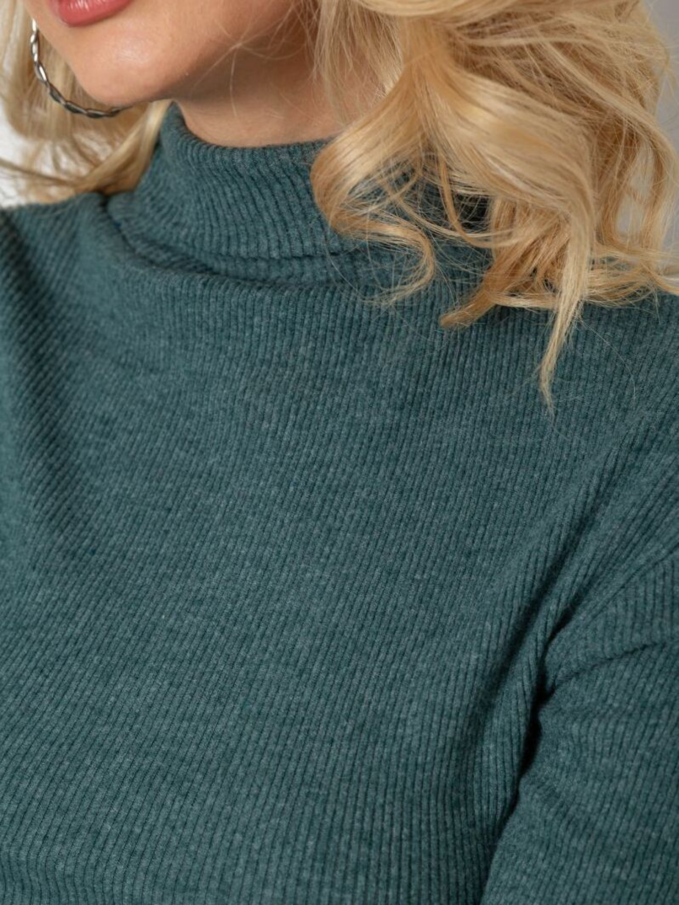 Водолазка Ager модель У-1136029::000000040 Фото